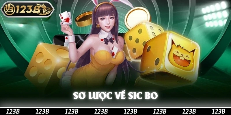 Sơ lược về Sic bo